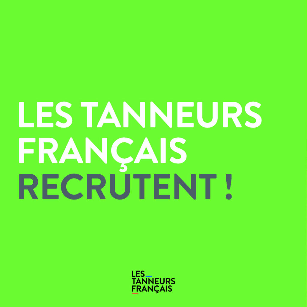 Les tanneurs mégissiers français recrutent !